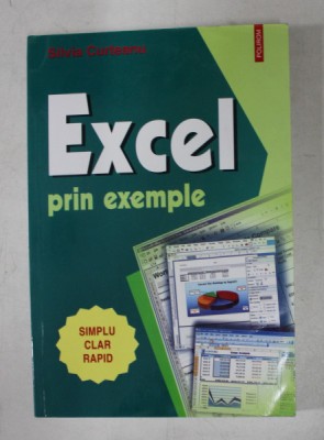 EXCEL PRIN EXEMPLE de SILVIA CURTEANU , 2004 foto