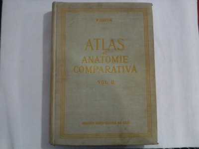 ATLAS DE ANATOMIE COMPARATIVA vol. II - V. GHETIE in colaborare cu Eugen PASTEA foto