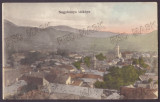 2466 - BAIA-MARE, Panorama, Romania - old postcard - used - 1917, Circulata, Printata
