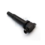 Meat &amp;amp; Doria bobina de inductie