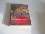 Calatoria Continua - Alexandru Petrescu, 1984, Alta editura