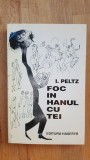 Foc in hanul cu tei- I.Peltz