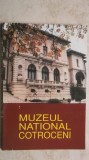 Ioan Opris - Muzeul National Cotroceni (vezi detalii pentru livrare in tara)