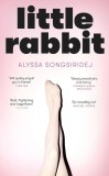 Little Rabbit - Alyssa Songsiridej - Roman strain in Engleza, Coming-of-age story