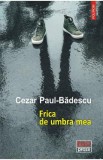 Frica de umbra mea - Cezar Paul-Badescu