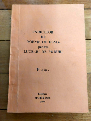 Indicator de norme de deviz pentru lucrari de poduri - P 1981 foto