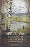 Drumul spre casa povestiri clasici rusi autor Angela Voicila 2024 stare buna coperta brosata 13x20cm