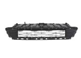Grila radiator FIAT FIORINO/QUBO, 2015-, fata,