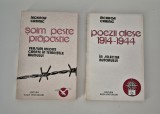Nichifor Crainic Soim peste prapastie / Poezii alese