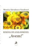 Cumpara ieftin Romania din afara Romaniei: Avem!/Monica Savulescu Voudouri