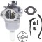 Carburator Briggs&amp;Stratton 794572, 791858