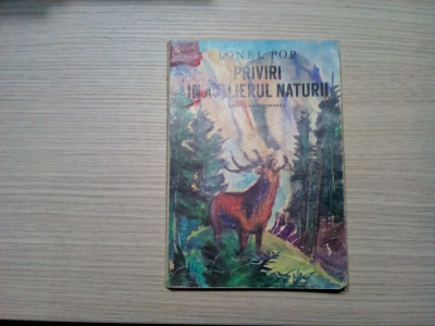 PRIVIRI IN ATELIERUL NATURI - Ionel Pop - Editura Ion Cranga, 1982, 182 p. foto