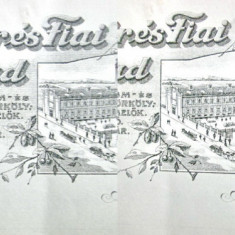 1864-I-Reclama Fabrica Bauturi Weisz Mores Fiai Arad 1900 fondata 1878.