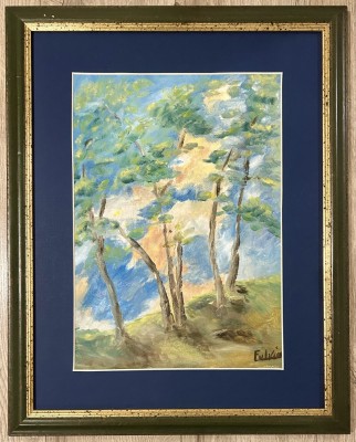 Tablou Peisaj in Livadă primăvara pictura ulei rama lemn 40x50cm foto
