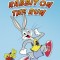 Rabbit on the Run
