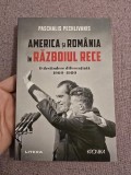 Cumpara ieftin America și Rom&acirc;nia &icirc;n Războiul Rece. O destindere diferențiată 1969-1980