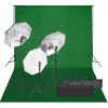 VidaXL Kit studio foto cu set de lumină și fundal 3094706