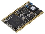 Cititor RFID T4NM-FDB0 3,15-5,5V Multi-Interfață