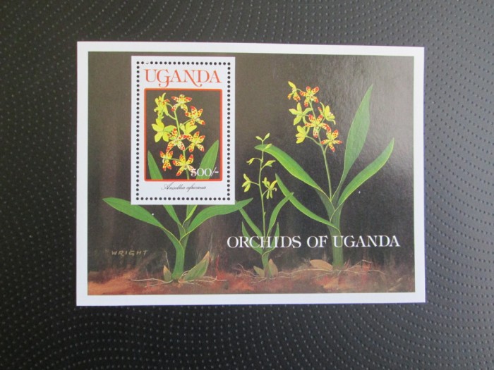 UGADA ORCHIDS MNH=67