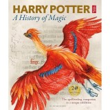 Harry Potter: A History of Magic