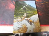 transportul pietrelor de moara uriase prin raul slanic cu carele f1