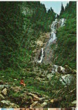 CPIB 16101 CARTE POSTALA - BORSA. CASCADA &quot; IZVORUL CAILOR&quot;