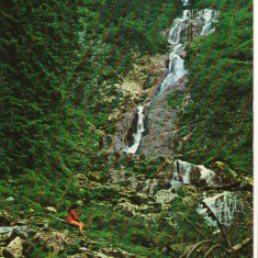 CPIB 16101 CARTE POSTALA - BORSA. CASCADA " IZVORUL CAILOR"