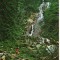 CPIB 16101 CARTE POSTALA - BORSA. CASCADA &quot; IZVORUL CAILOR&quot;