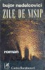 Zile de nisip - Bujor Nedelcovici - Roman romanesc, Cartea Romaneasca 1979