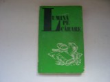 Lumina pe carare