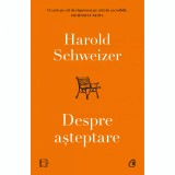 Cumpara ieftin Despre asteptare, Harold Schweizer, Curtea Veche