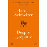 Despre asteptare, Harold Schweizer, Curtea Veche