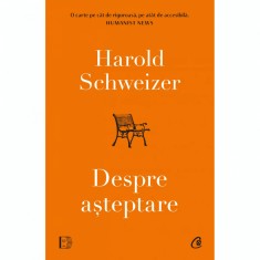 Despre asteptare, Harold Schweizer