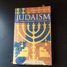 A BRIEF GUIDE TO JUDAISM, THEOLOGY, HISTORY AND PRACTICE - NAFTALI BRAWER (CARTE IN LIMBA ENGLEZA)