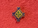 Insigna (model vechi) fotbal - IRLANDA