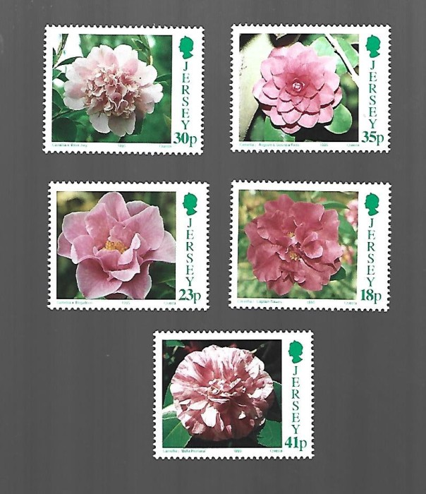 JERSEY MNH