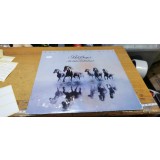 Bob Seger The silver Bullet Band #A7362han