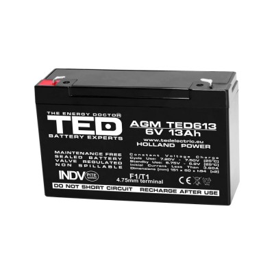 Acumulator Plumb 6V 13Ah TED F1 foto