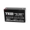 Acumulator Plumb 6V 13Ah TED F1