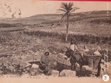 Bizerte , OAZA AFRICANA carte postala circulata , anul 1929 ,deosebita , interesanta ,,corespondenta cu Regatul Romaniei