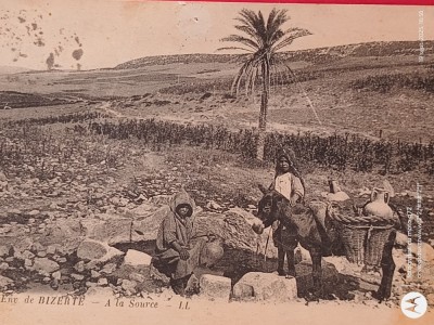 Bizerte , OAZA AFRICANA carte postala circulata , anul 1929 ,deosebita , interesanta ,,corespondenta cu Regatul Romaniei foto