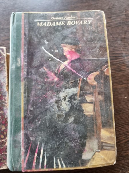 Madame Bovary , Gustave Flaubert , 1979
