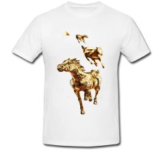 Tricou &amp;quot; Cool solids &amp;quot; foto