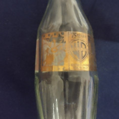 RARA ! /Sticla Coca-Cola cu aniversarea 75 ani Warner Bros