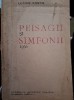 Peisagii si Simfonii- Lucian Costin, princeps