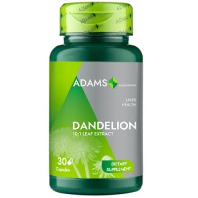 DANDELION (PAPADIE) 370MG 30CPS VEGETALE foto
