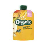 Gustare de mango, pere si ovaz, 100 gr, Organix