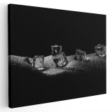 Tablou canvas nud femeie solduri gheata alb negru 1143 Tablou canvas pe panza CU RAMA 70x100 cm