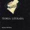 Teoria Literara - Dumitru Tiutiuca