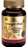 Kangavites Multivitamin Berry Solgar 60cps
